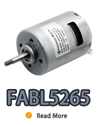 Moteur électrique à courant continu sans balais à rotor intérieur FABL5265 avec pilote intégré